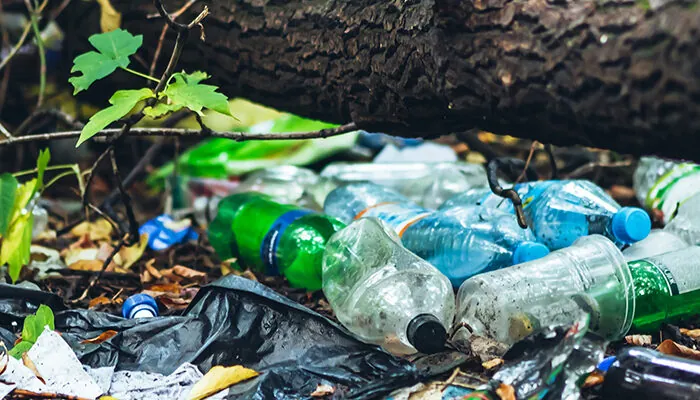 Garbage pile in forest among plants. Toxic plastic into nature everywhere. Rubbish heap in park among vegetation. Contaminated soil. Environmental pollution. Ecological issue. Throw trash anywhere.