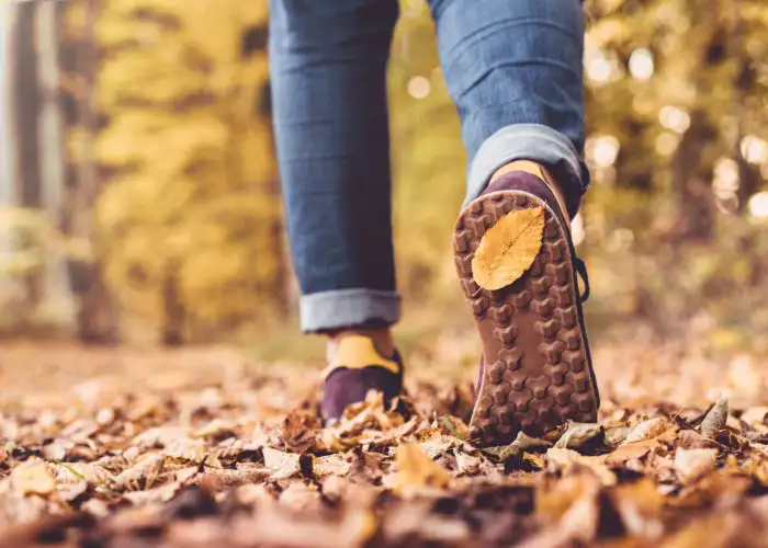 Close up of feet walking away from camera in a fall forest