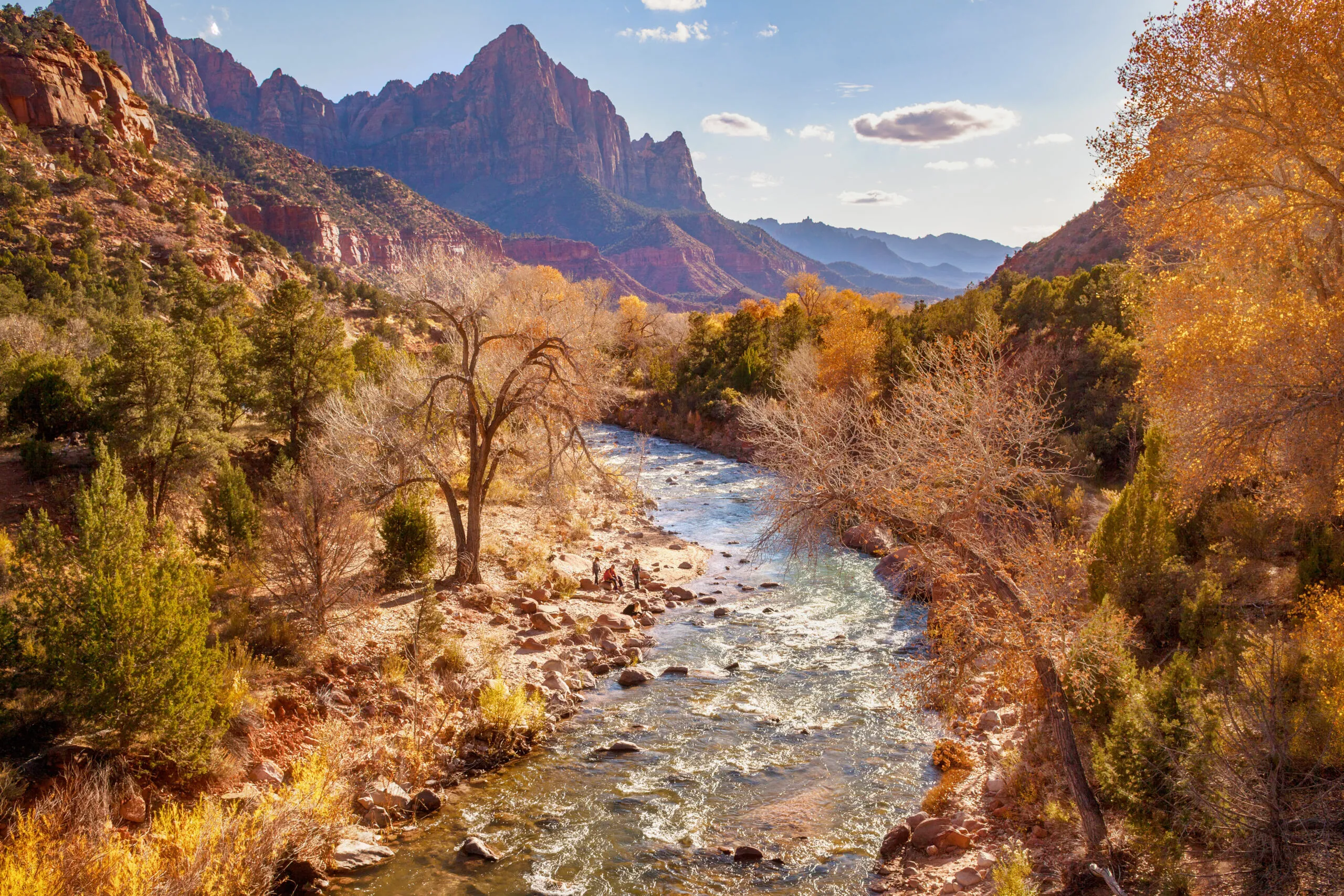 Fall foliage surrounding a stream in Zion National Park, Utah