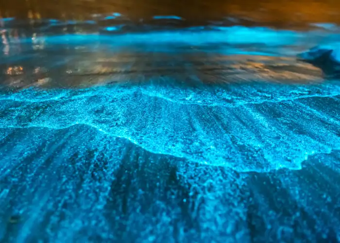 Bioluminescent waves in Jervis Bay, Australia