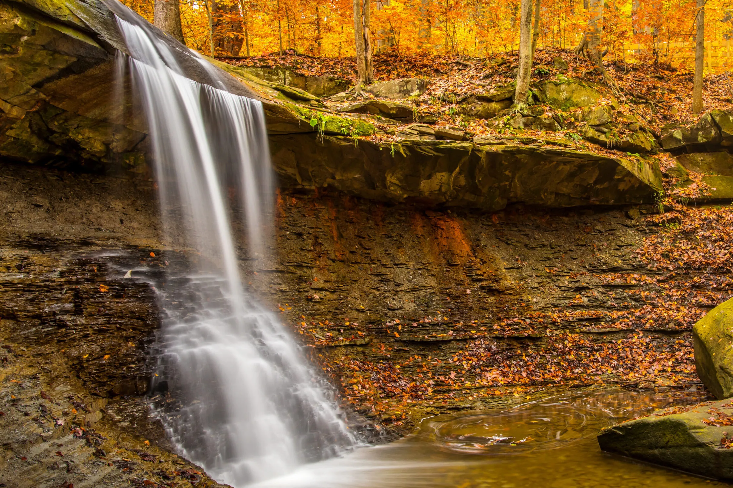 Waterfall surrounded by orange fall foliage and fallen leaves in Cuyahoga Valley National Park, Ohio