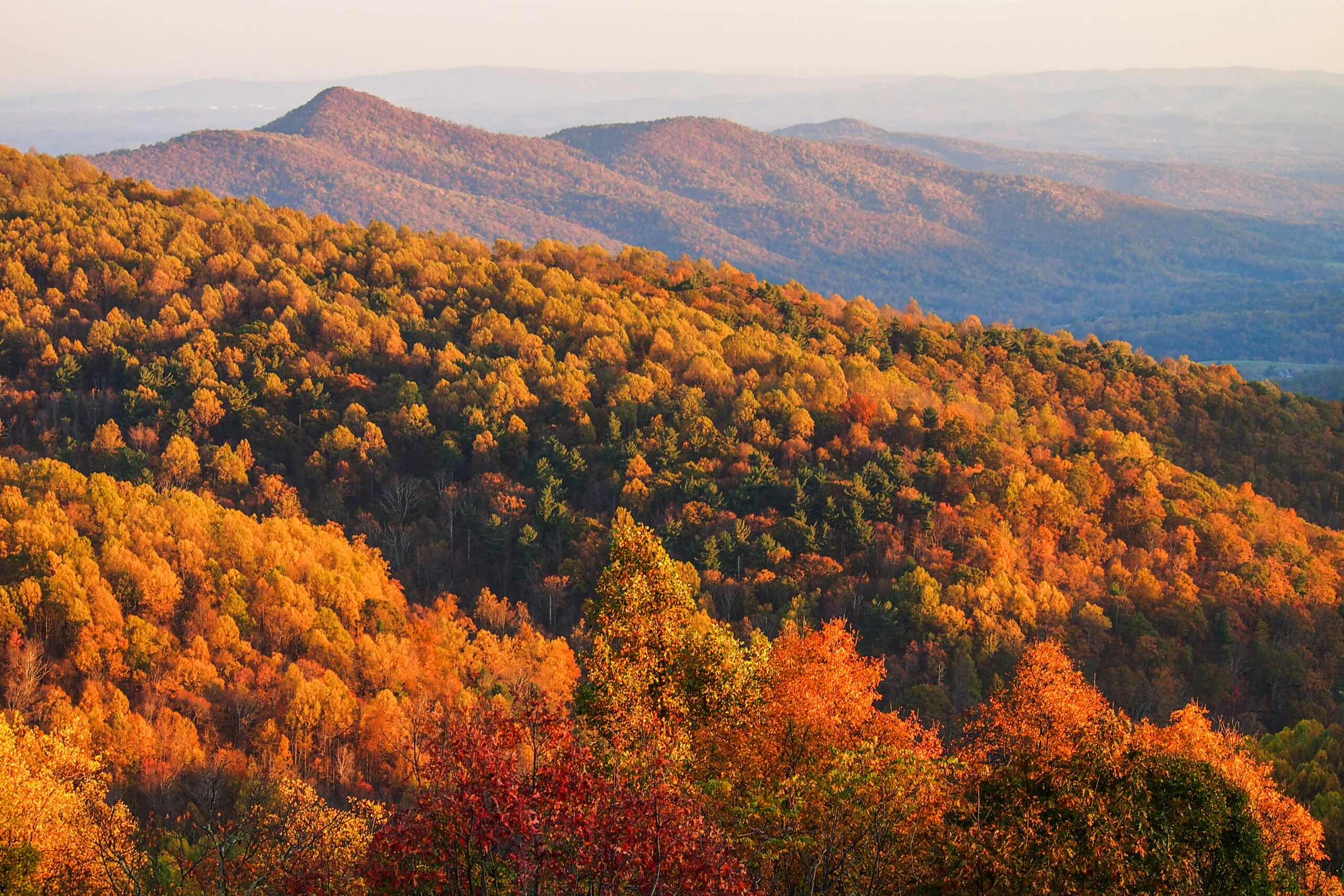 Vista of fall foliage at Shenandoah National Park, Virginia