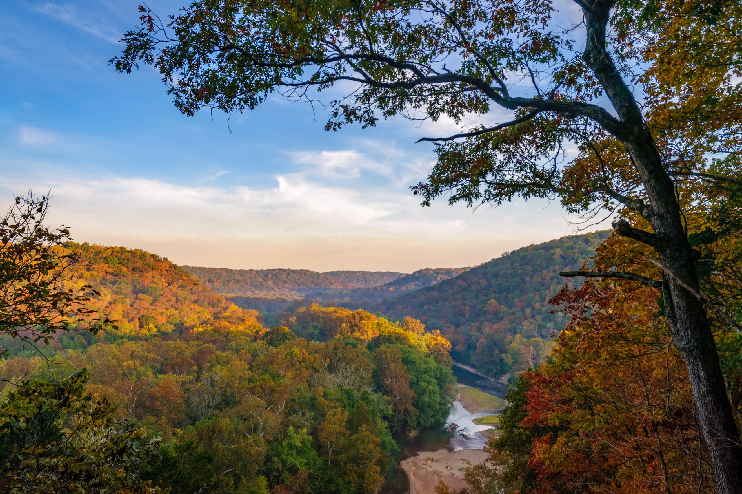 Vista of fall foliage at Mammoth Cave National Park, Kentucky