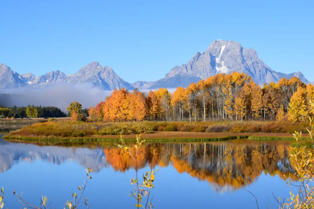 Signal Mountain Grand Teton National Park Fall near a lake and surrounded by fall foliage