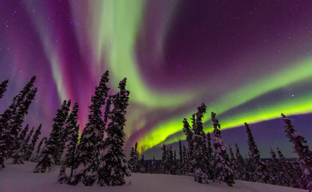 Aurora borealis, northern lights, near Fairbanks, Alaska