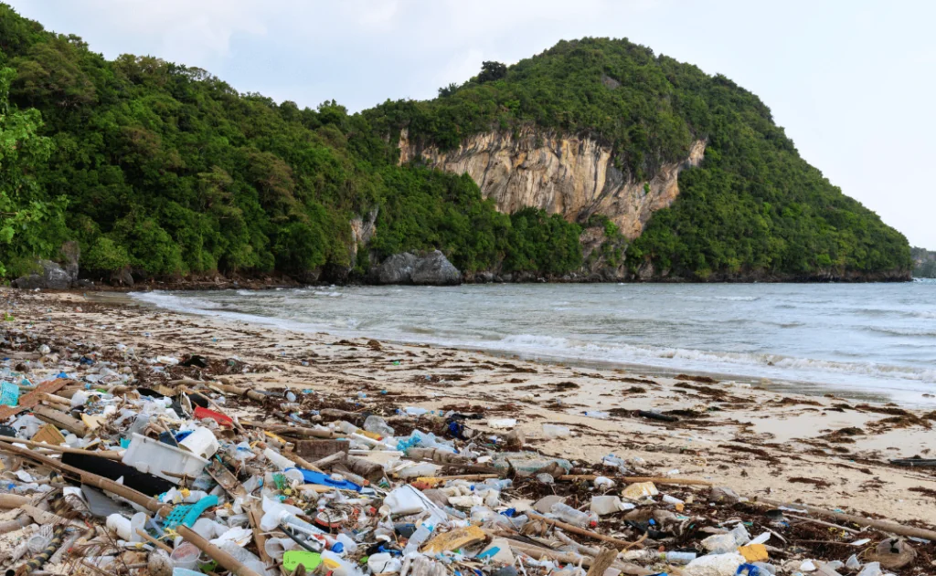 Beach plastic pollution