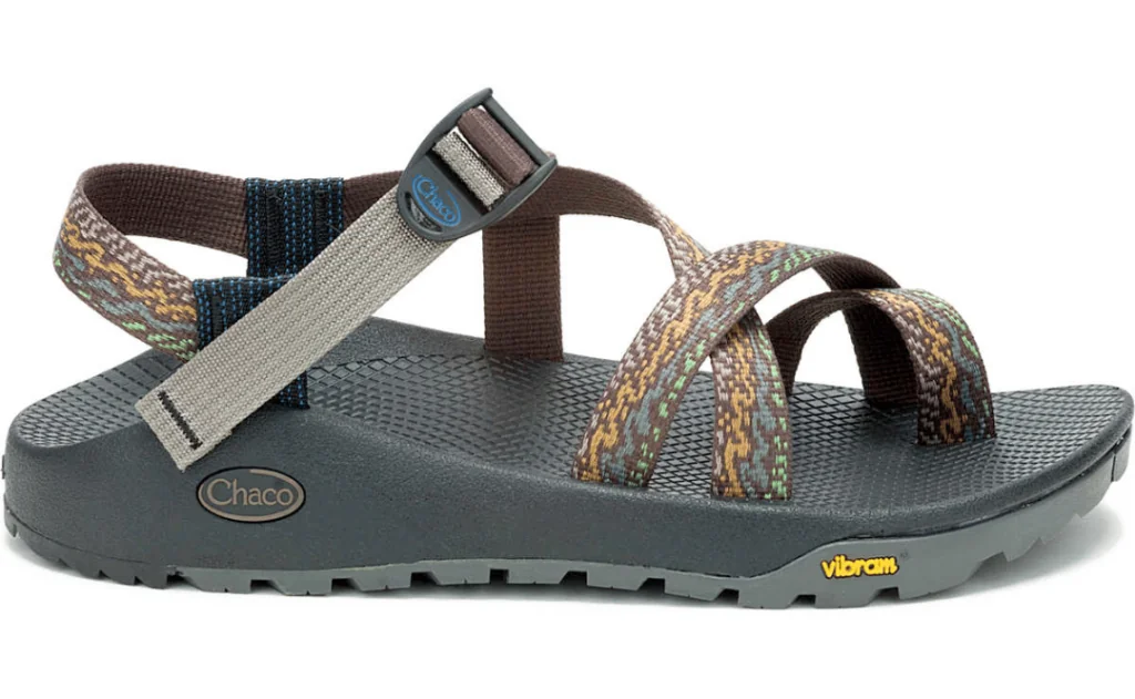 Chaco Z/2 Classic in Color  Eddy Fungi