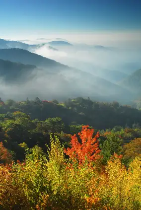 Great Smoky Mountains National Park