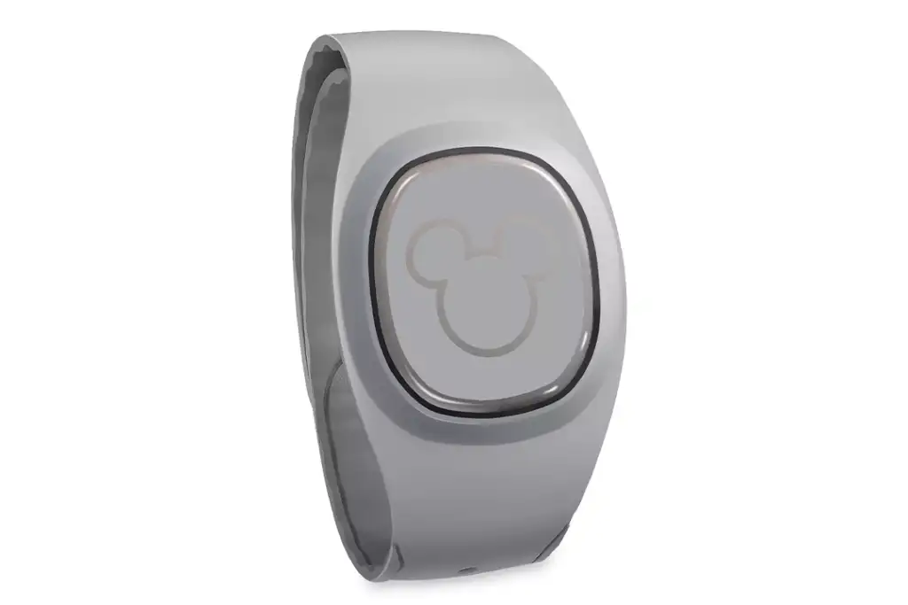 MagicBand