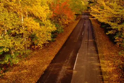 Maple and Mountains Tour, Maine