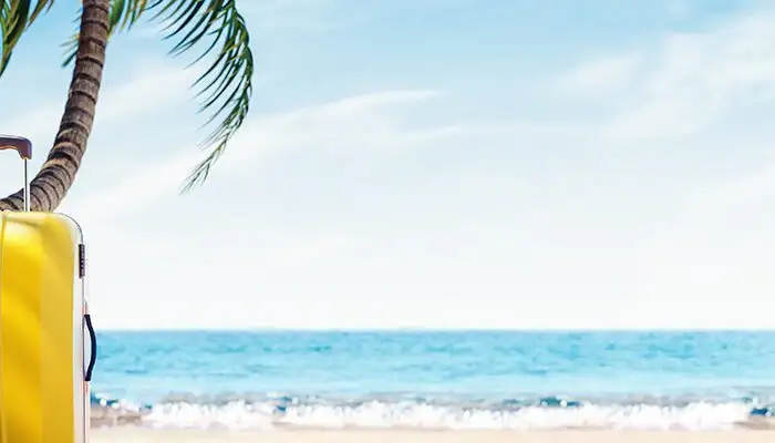 Suitcase with hat on the handle, sitting on a beach under a palm tree