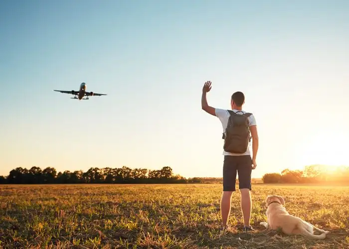 man waving at airplane overhead.