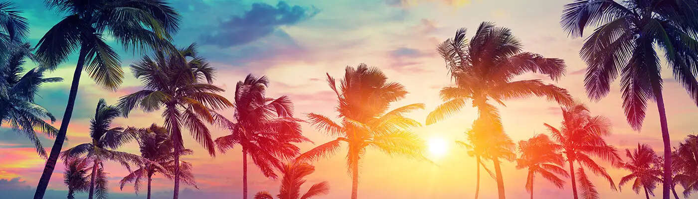 Beach with palm trees at sunset