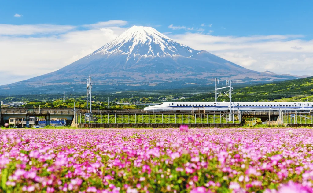 Shinkanzen run pass Mt. Fuji