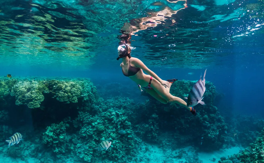 Young woman snorkeling at coral reef in tropical sea