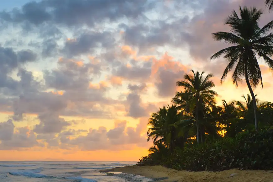 vieques beach puerto rico.