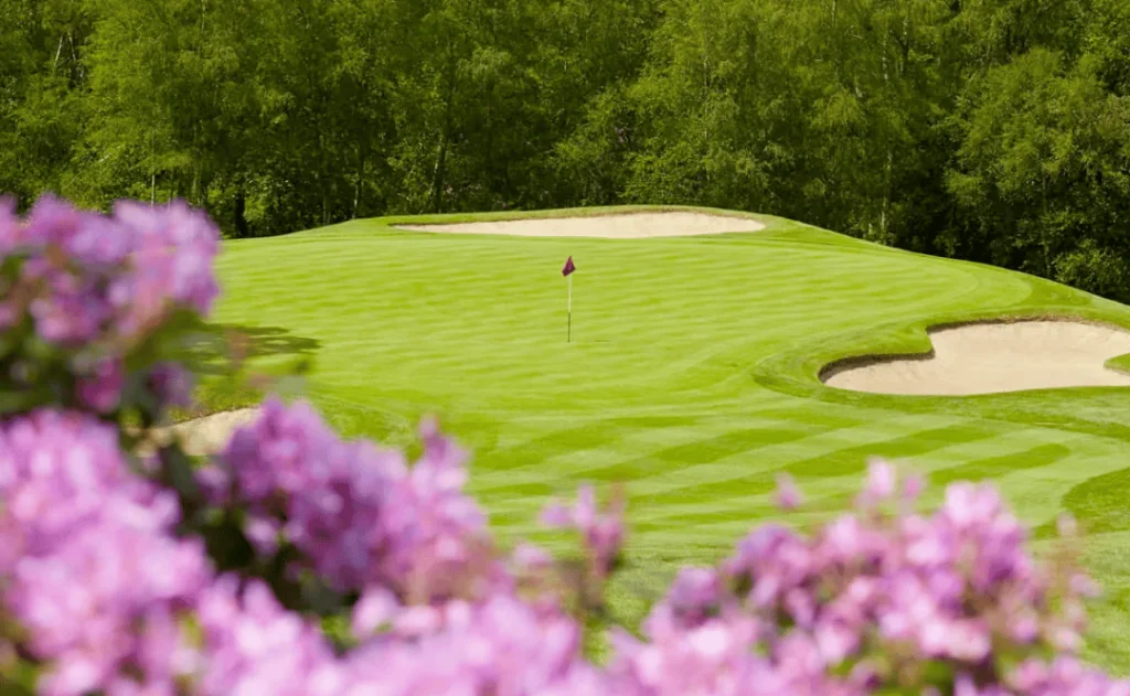 Wentworth Golf Club golf course with purple flowers